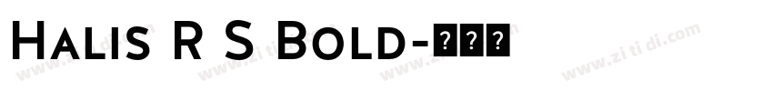 Halis R S Bold字体转换